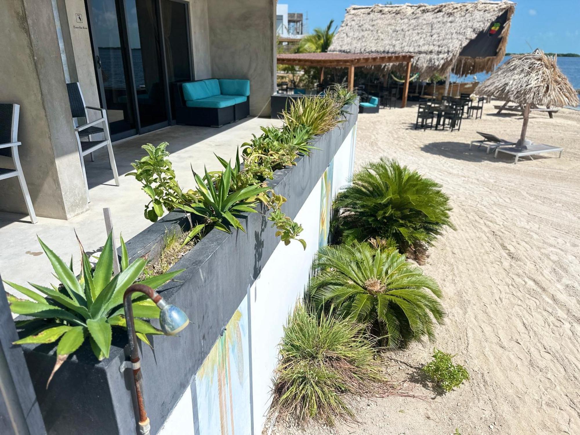 Playa De Sala Boutique Hotel (Adults Only) 圣佩德罗 外观 照片