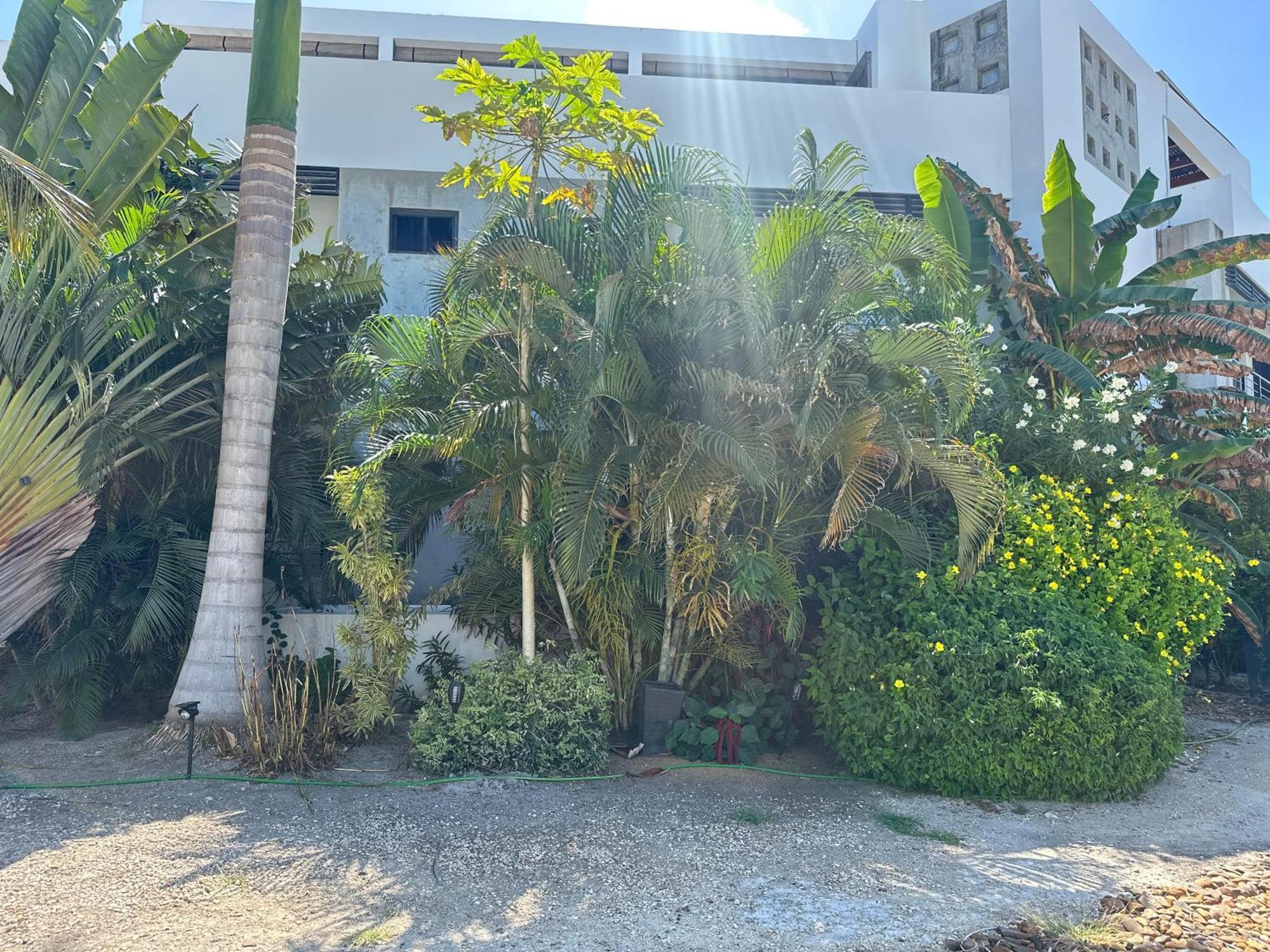 Playa De Sala Boutique Hotel (Adults Only) 圣佩德罗 外观 照片
